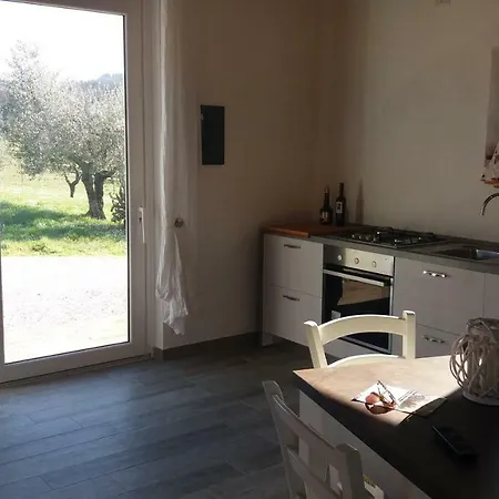 Дом отдыха Domus Filmar *