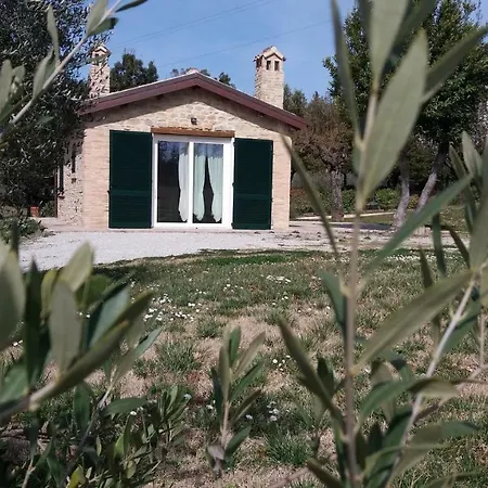 Дом отдыха Domus Filmar Пезаро