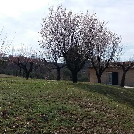 Domus Filmar Nyaraló Pesaro