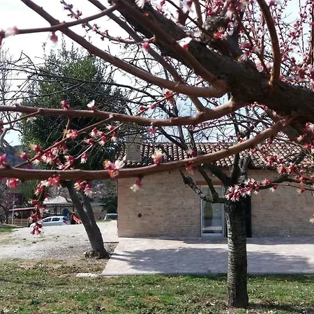 Domus Filmar Дом отдыха Пезаро