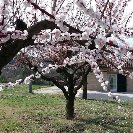 Nyaraló Domus Filmar Pesaro