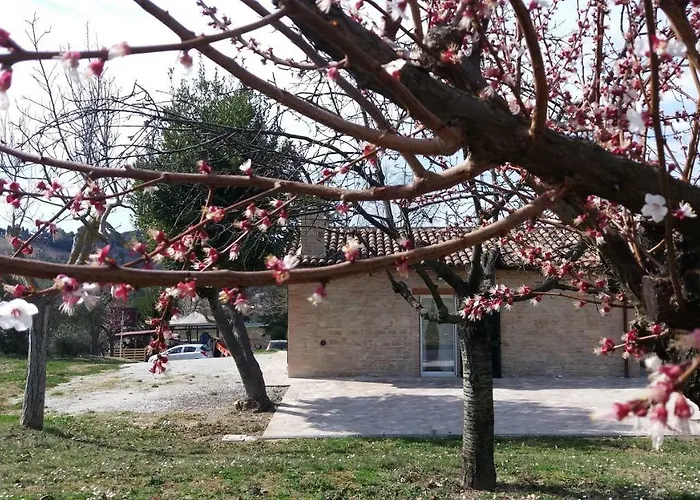 Domus Filmar Ferienhaus Pesaro