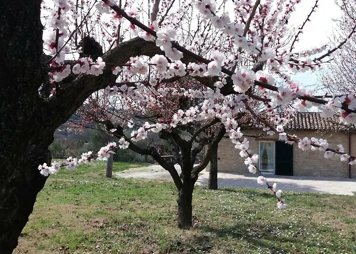 別荘 Domus Filmar ペザロ